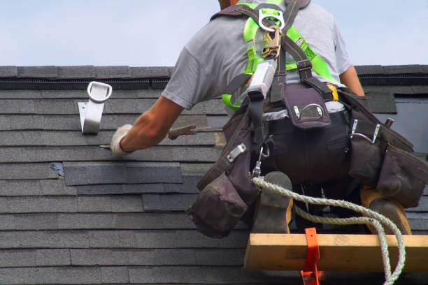 Best Metal Roofing Contractor  in Forest City, IA
