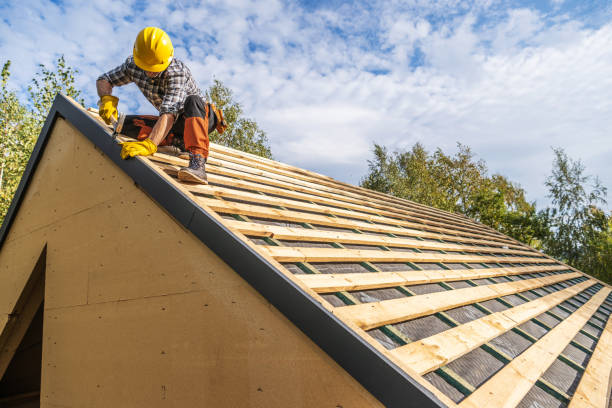 Best Flat Roof Repair Services  in Forest City, IA
