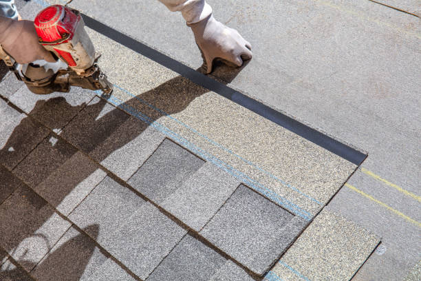 Best Roof Maintenance Services  in Forest City, IA