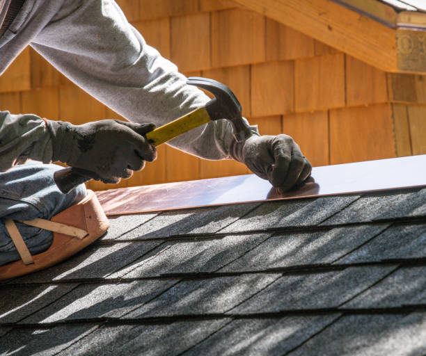 Best Residential Roofing Contractor  in Forest City, IA
